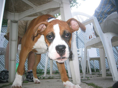 Graphics